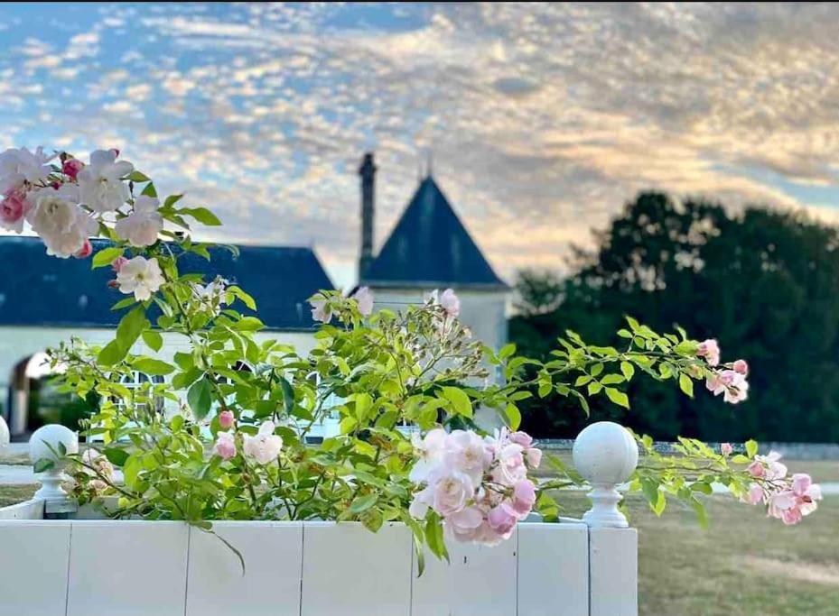 Charming Romantic Tower In Chateau Estate Ocquerre Exterior foto
